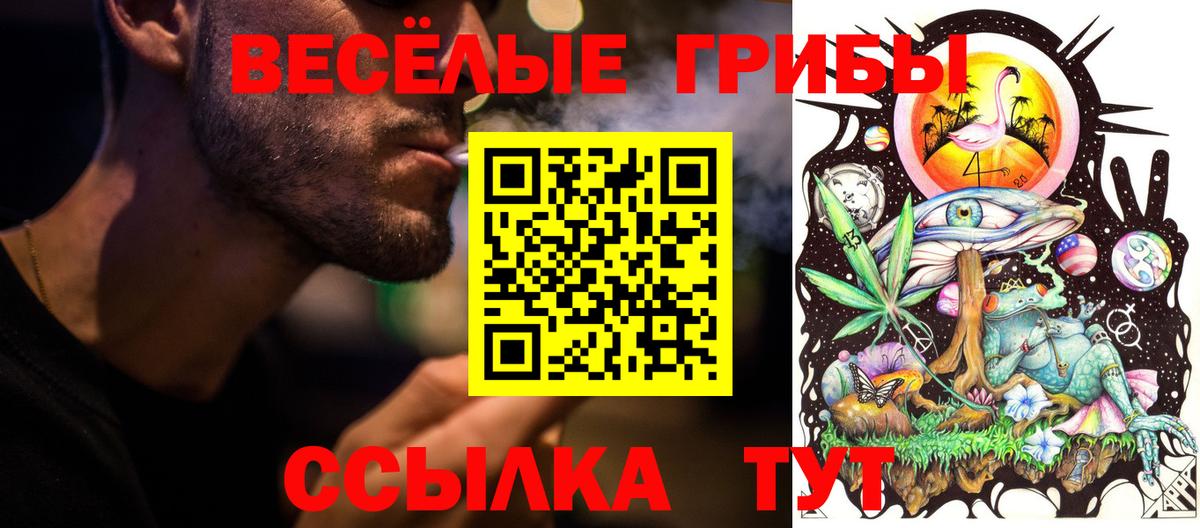 Галлюциногенные грибы Magic Shrooms  Вход с VPN  Черногорск 