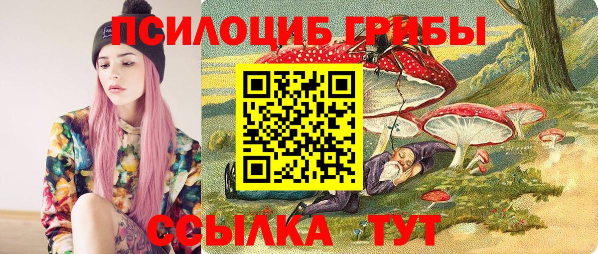Галлюциногенные грибы Psilocybe Черногорск